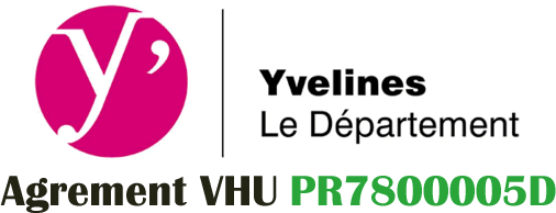 enlèvement épave Yvelines 78