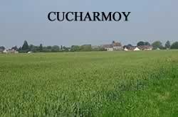 Cucharmoy - 77160