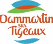 Dammartin-sur-Tigeaux - 77163