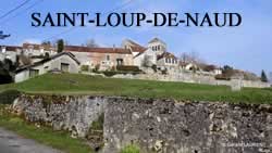 Saint-Loup-de-Naud - 77650