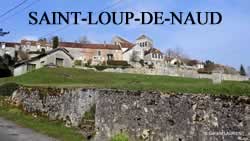 Saint-Loup-de-Naud (77650) Saint-Loup-de-Naud - 77650