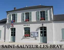 Saint-Sauveur-lès-Bray - 77480
