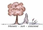 Enlèvement épave gratuit Prunay-sur-Essonne (91720)